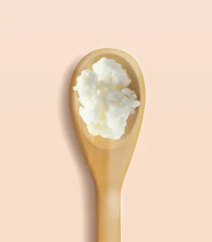 Shea Butter (Refined) - Organic